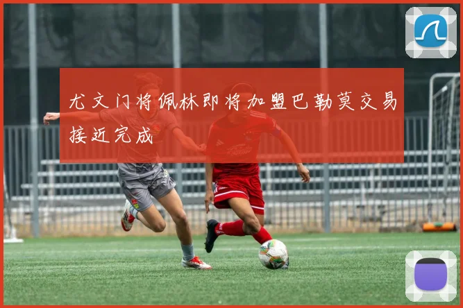 尤文门将佩林即将加盟巴勒莫交易接近完成